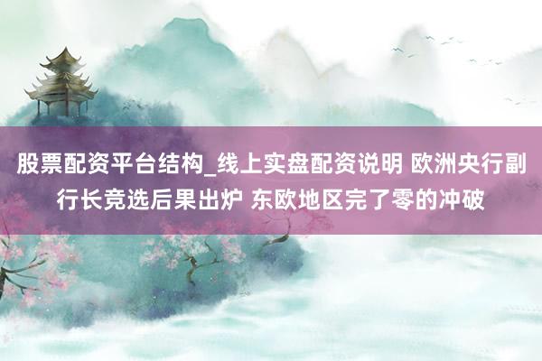 股票配资平台结构_线上实盘配资说明 欧洲央行副行长竞选后果出炉 东欧地区完了零的冲破