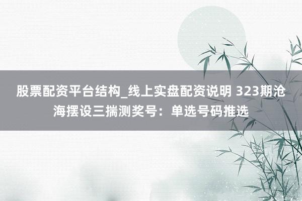 股票配资平台结构_线上实盘配资说明 323期沧海摆设三揣测奖号：单选号码推选